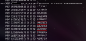 Misexta - SD tcpdump